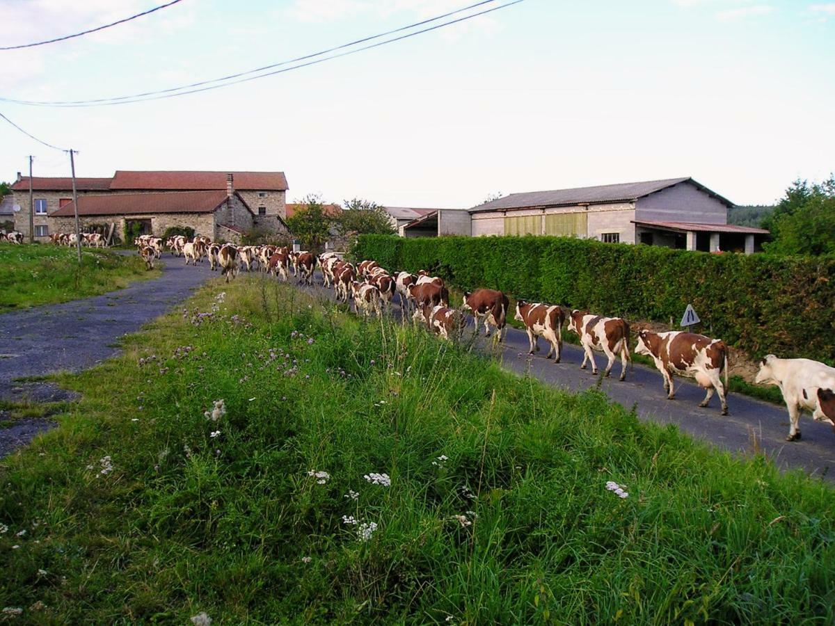 Le Bos Clard Villa Felines ภายนอก รูปภาพ